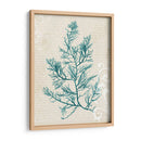 Alga Teal I - Grace Popp | Cuadro decorativo de Canvas Lab
