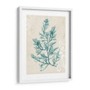 Alga Teal I - Grace Popp | Cuadro decorativo de Canvas Lab