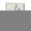 Alga Teal I - Grace Popp | Cuadro decorativo de Canvas Lab