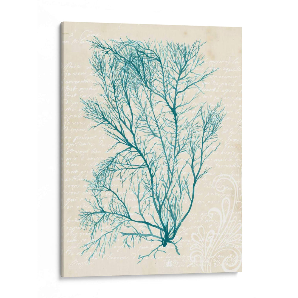 Teal Seaweed Ii - Grace Popp | Cuadro decorativo de Canvas Lab