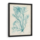 Teal Seaweed Ii - Grace Popp | Cuadro decorativo de Canvas Lab