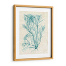 Teal Seaweed Ii - Grace Popp | Cuadro decorativo de Canvas Lab