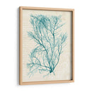 Teal Seaweed Ii - Grace Popp | Cuadro decorativo de Canvas Lab