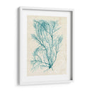 Teal Seaweed Ii - Grace Popp | Cuadro decorativo de Canvas Lab