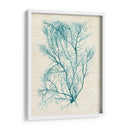 Teal Seaweed Ii - Grace Popp | Cuadro decorativo de Canvas Lab