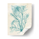 Teal Seaweed Ii - Grace Popp | Cuadro decorativo de Canvas Lab