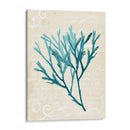 Teal Seaweed Iii - Grace Popp | Cuadro decorativo de Canvas Lab