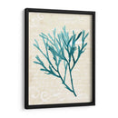 Teal Seaweed Iii - Grace Popp | Cuadro decorativo de Canvas Lab