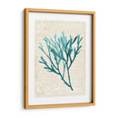 Teal Seaweed Iii - Grace Popp | Cuadro decorativo de Canvas Lab