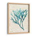 Teal Seaweed Iii - Grace Popp | Cuadro decorativo de Canvas Lab