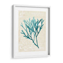 Teal Seaweed Iii - Grace Popp | Cuadro decorativo de Canvas Lab