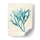 Teal Seaweed Iii - Grace Popp | Cuadro decorativo de Canvas Lab