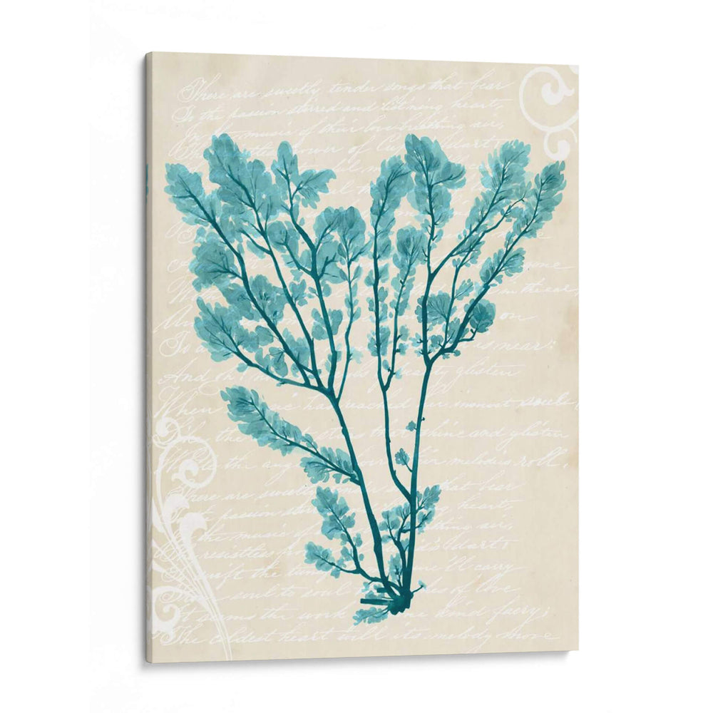 Teal Seaweed V - Grace Popp | Cuadro decorativo de Canvas Lab
