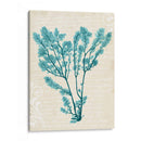 Teal Seaweed V - Grace Popp | Cuadro decorativo de Canvas Lab