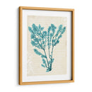 Teal Seaweed V - Grace Popp | Cuadro decorativo de Canvas Lab