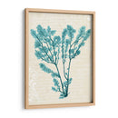 Teal Seaweed V - Grace Popp | Cuadro decorativo de Canvas Lab