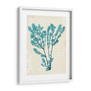 Teal Seaweed V - Grace Popp | Cuadro decorativo de Canvas Lab
