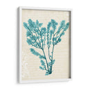 Teal Seaweed V - Grace Popp | Cuadro decorativo de Canvas Lab