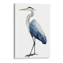 Ave Avaro Heron I - Grace Popp | Cuadro decorativo de Canvas Lab