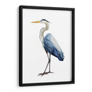 Ave Avaro Heron I - Grace Popp | Cuadro decorativo de Canvas Lab