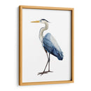 Ave Avaro Heron I - Grace Popp | Cuadro decorativo de Canvas Lab