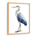 Ave Avaro Heron I - Grace Popp | Cuadro decorativo de Canvas Lab