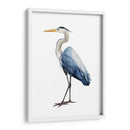 Ave Avaro Heron I - Grace Popp | Cuadro decorativo de Canvas Lab