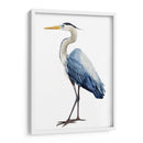 Ave Avaro Heron I - Grace Popp | Cuadro decorativo de Canvas Lab