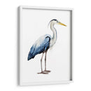 Seabird Heron Ii - Grace Popp | Cuadro decorativo de Canvas Lab