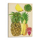 Estudio De Piña Tropical I - Melissa Wang | Cuadro decorativo de Canvas Lab