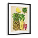 Estudio De Piña Tropical I - Melissa Wang | Cuadro decorativo de Canvas Lab