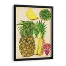 Estudio De Piña Tropical I - Melissa Wang | Cuadro decorativo de Canvas Lab