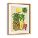 Estudio De Piña Tropical I - Melissa Wang | Cuadro decorativo de Canvas Lab