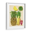 Estudio De Piña Tropical I - Melissa Wang | Cuadro decorativo de Canvas Lab