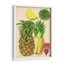 Estudio De Piña Tropical I - Melissa Wang | Cuadro decorativo de Canvas Lab