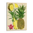 Estudio De Piña Tropical Ii - Melissa Wang | Cuadro decorativo de Canvas Lab