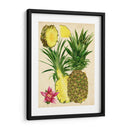 Estudio De Piña Tropical Ii - Melissa Wang | Cuadro decorativo de Canvas Lab