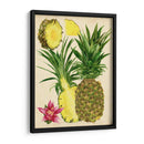 Estudio De Piña Tropical Ii - Melissa Wang | Cuadro decorativo de Canvas Lab