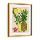 Estudio De Piña Tropical Ii - Melissa Wang | Cuadro decorativo de Canvas Lab