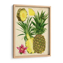 Estudio De Piña Tropical Ii - Melissa Wang | Cuadro decorativo de Canvas Lab