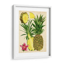 Estudio De Piña Tropical Ii - Melissa Wang | Cuadro decorativo de Canvas Lab