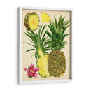 Estudio De Piña Tropical Ii - Melissa Wang | Cuadro decorativo de Canvas Lab