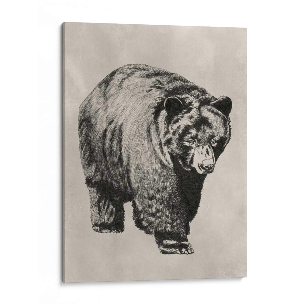 Pluma Y Tinta Oso I - Naomi McCavitt | Cuadro decorativo de Canvas Lab