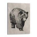 Pluma Y Tinta Oso I - Naomi McCavitt | Cuadro decorativo de Canvas Lab