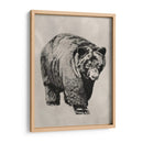 Pluma Y Tinta Oso I - Naomi McCavitt | Cuadro decorativo de Canvas Lab