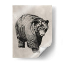 Pluma Y Tinta Oso I - Naomi McCavitt | Cuadro decorativo de Canvas Lab