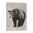 Lápiz Y Tinta Oso Ii - Naomi McCavitt | Cuadro decorativo de Canvas Lab