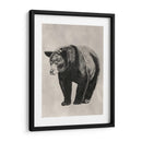 Lápiz Y Tinta Oso Ii - Naomi McCavitt | Cuadro decorativo de Canvas Lab