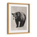 Lápiz Y Tinta Oso Ii - Naomi McCavitt | Cuadro decorativo de Canvas Lab