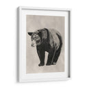 Lápiz Y Tinta Oso Ii - Naomi McCavitt | Cuadro decorativo de Canvas Lab